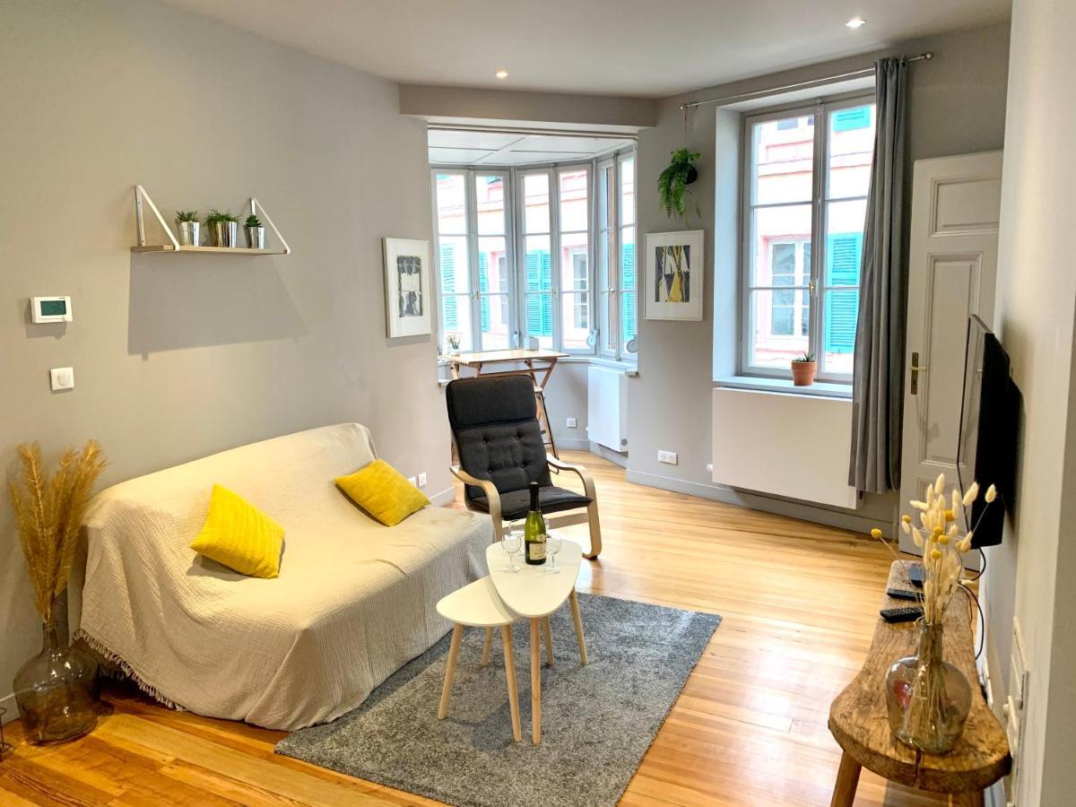 Appartement Hyper-Centre Colmar Eksteriør billede